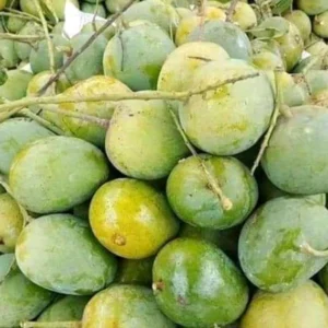 ১0কেজি হিমসাগর - কেজি